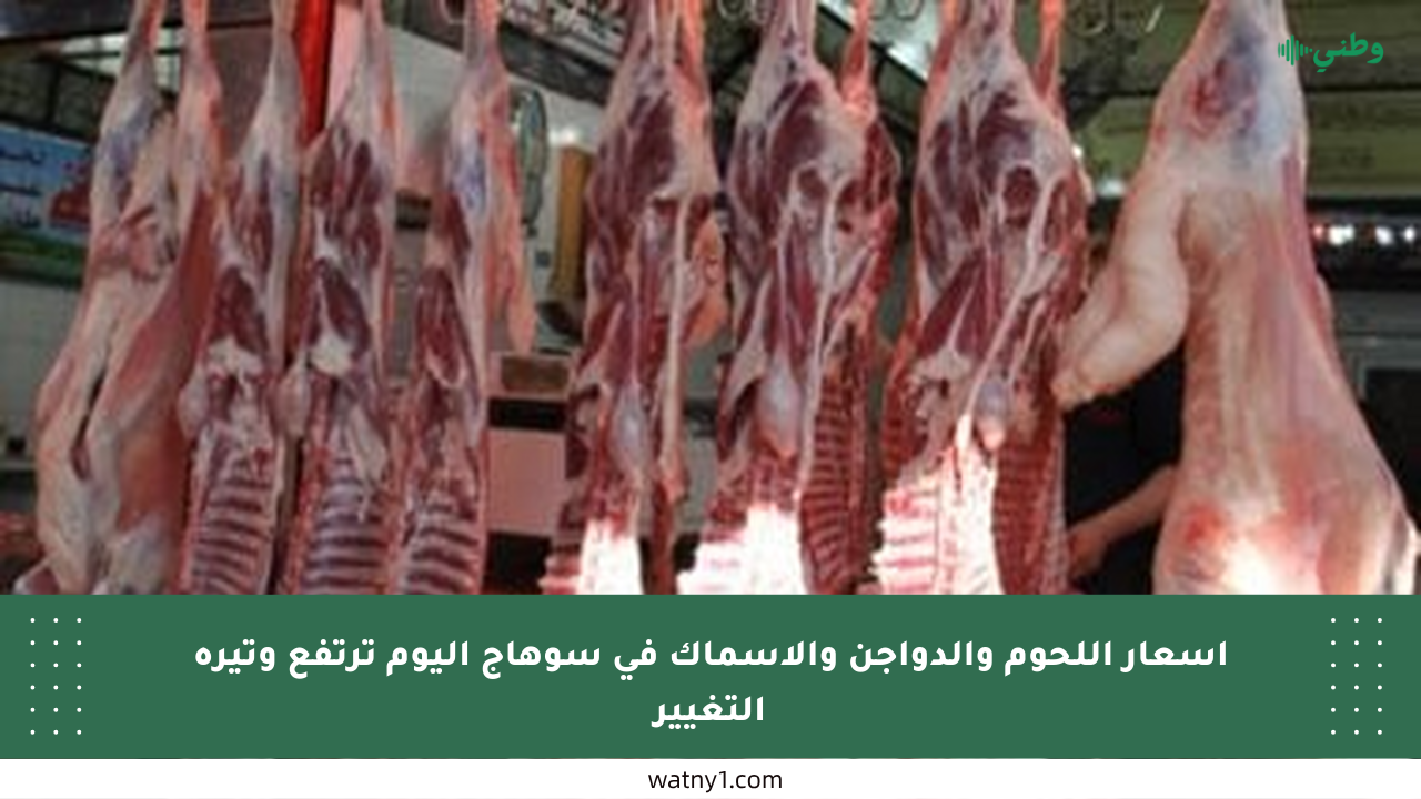 أسعار اللحوم والدواجن والأسماك في سوهاج اليوم ترتفع وتيرة التغيير
